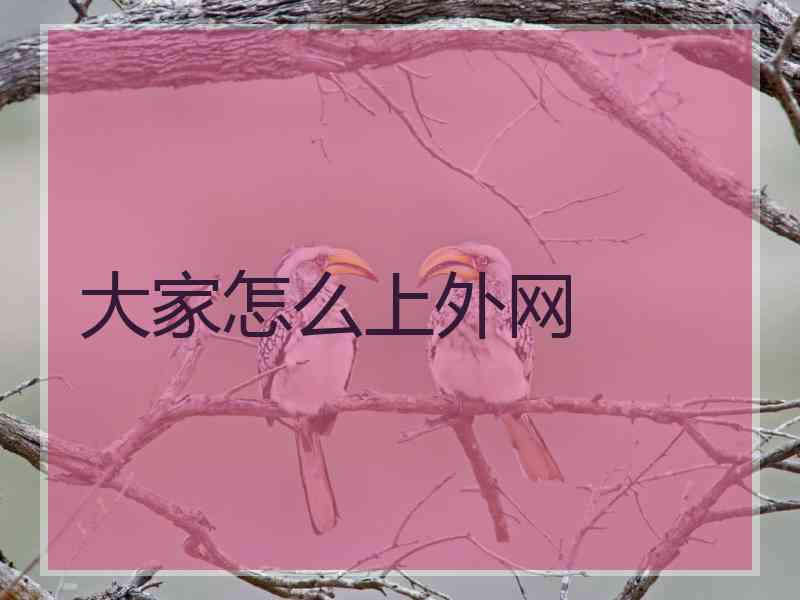 大家怎么上外网