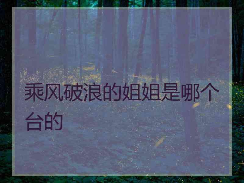 乘风破浪的姐姐是哪个台的