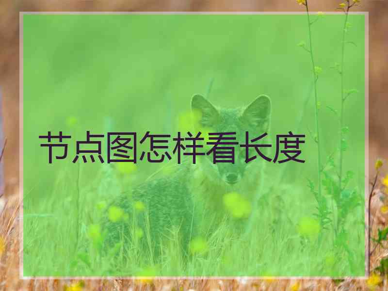 节点图怎样看长度