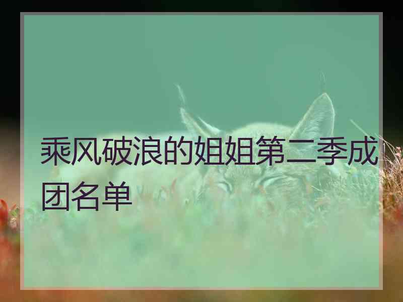 乘风破浪的姐姐第二季成团名单