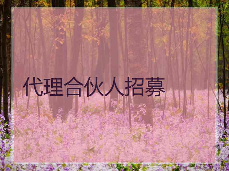 代理合伙人招募