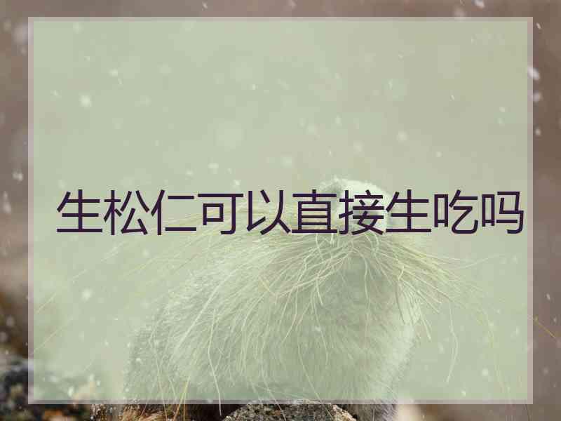 生松仁可以直接生吃吗