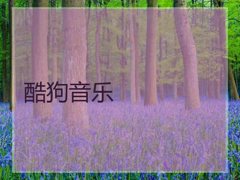 酷狗音乐