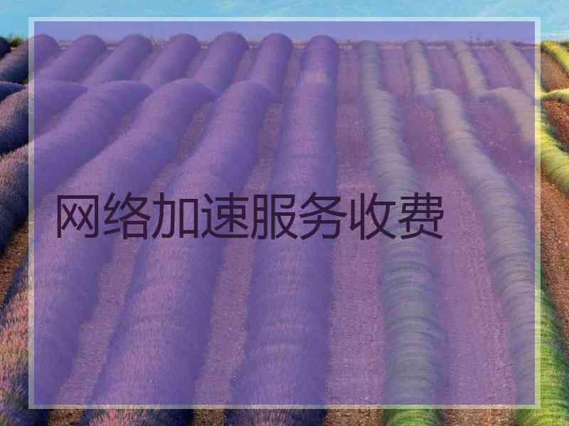网络加速服务收费