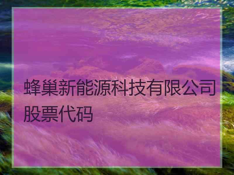 蜂巢新能源科技有限公司股票代码