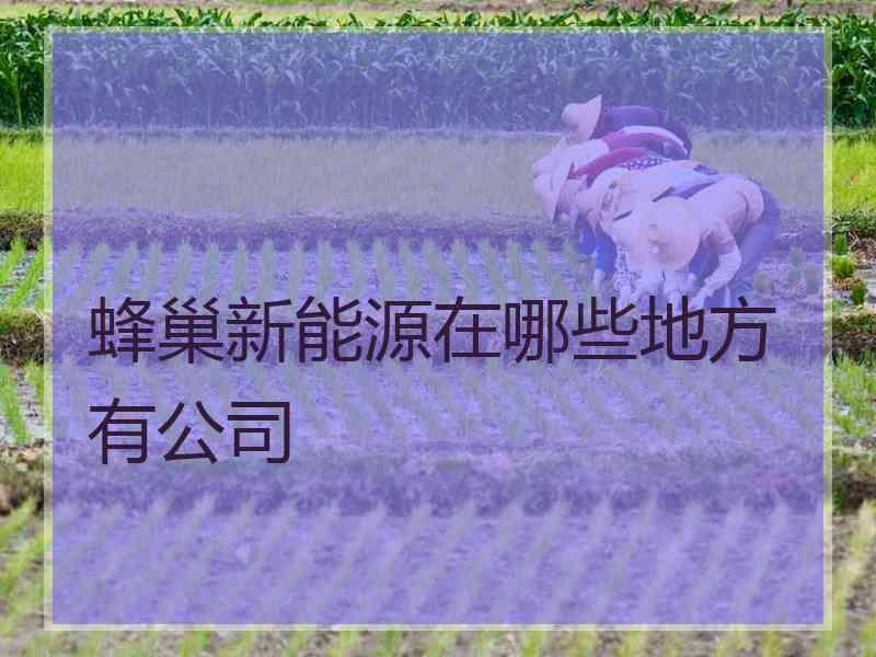 蜂巢新能源在哪些地方有公司