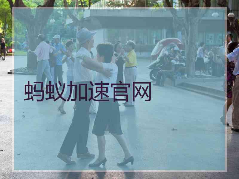 蚂蚁加速官网