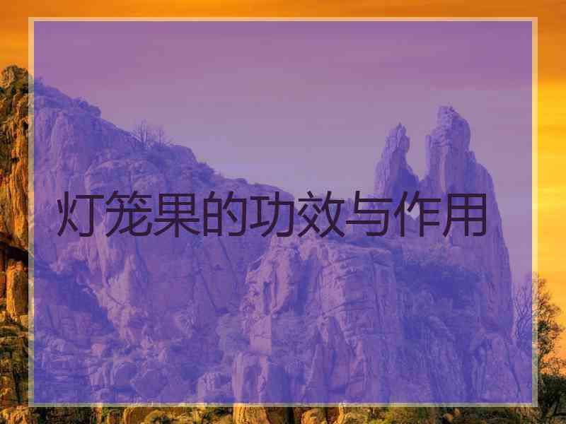 灯笼果的功效与作用