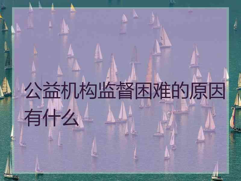 公益机构监督困难的原因有什么