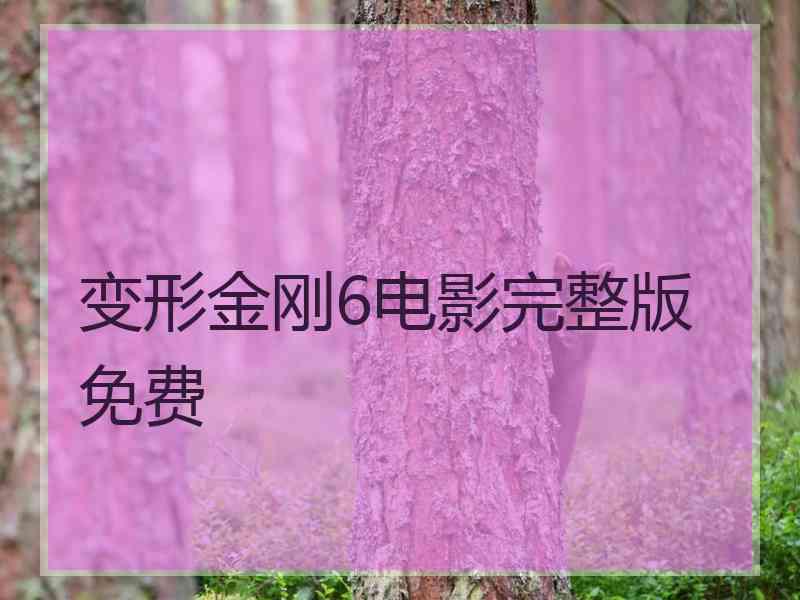 变形金刚6电影完整版免费