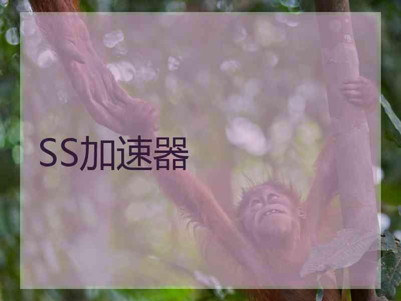 SS加速器