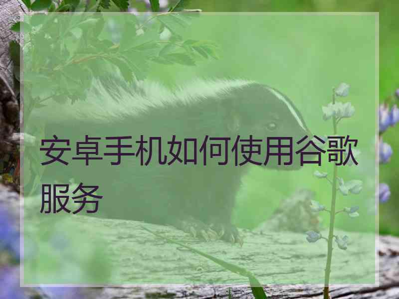 安卓手机如何使用谷歌服务