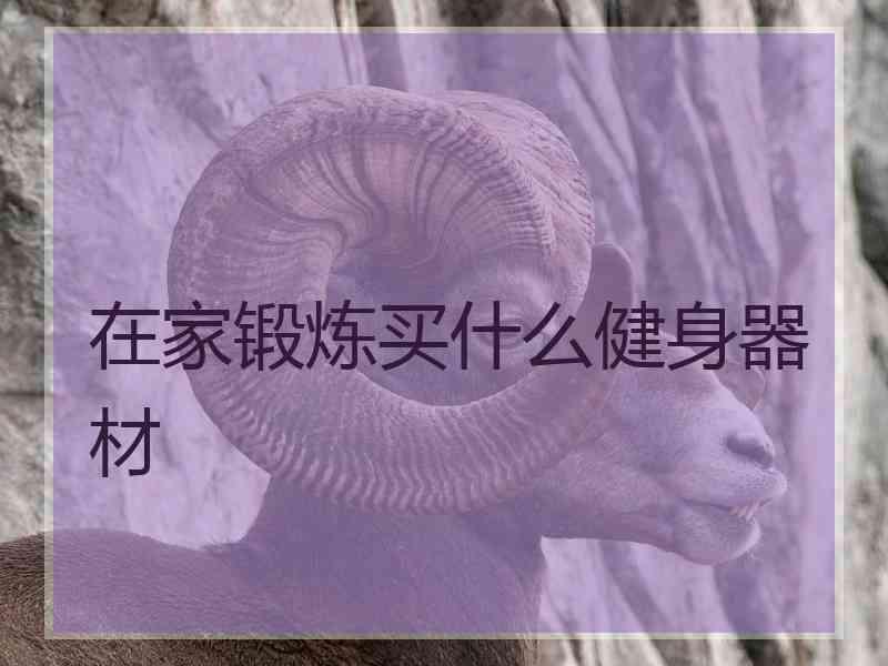 在家锻炼买什么健身器材