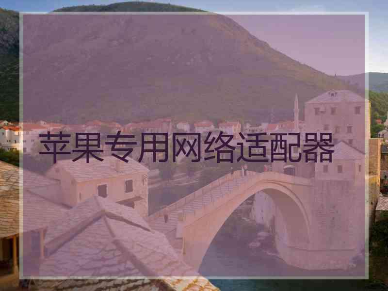 苹果专用网络适配器