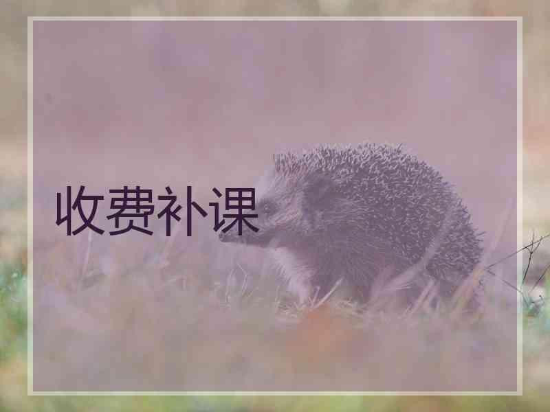 收费补课