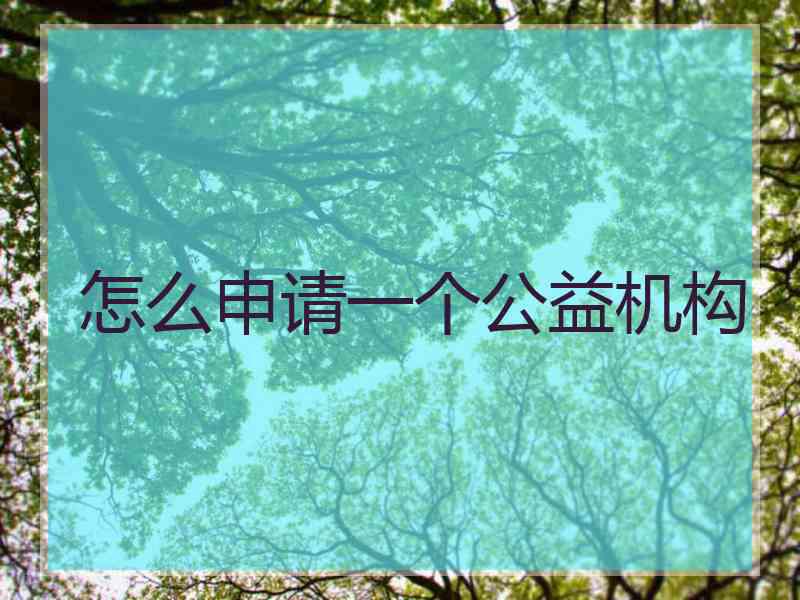 怎么申请一个公益机构
