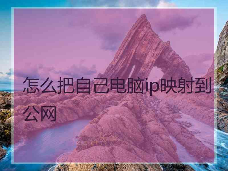 怎么把自己电脑ip映射到公网