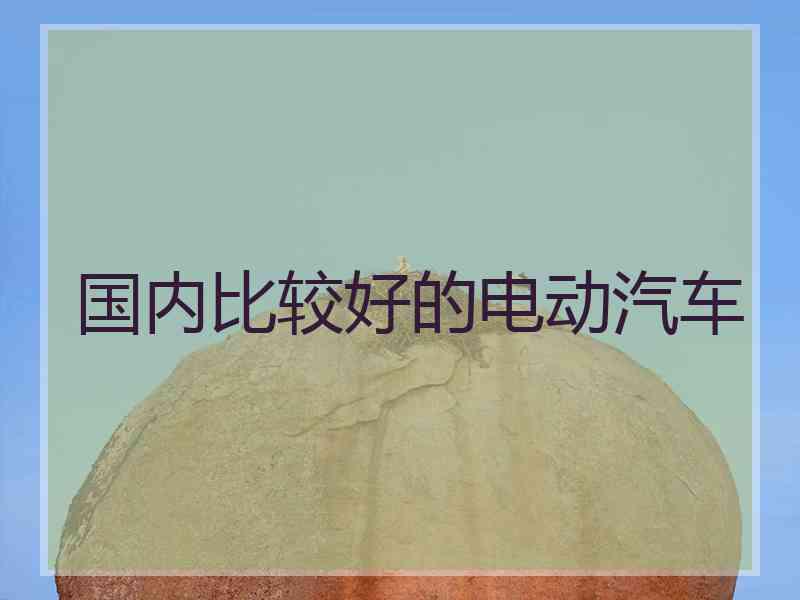 国内比较好的电动汽车