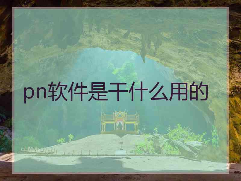 pn软件是干什么用的