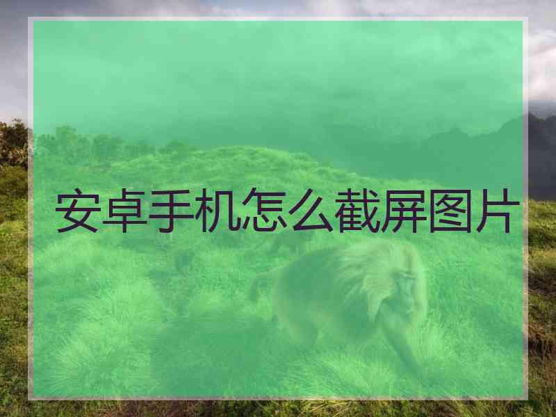 安卓手机怎么截屏图片