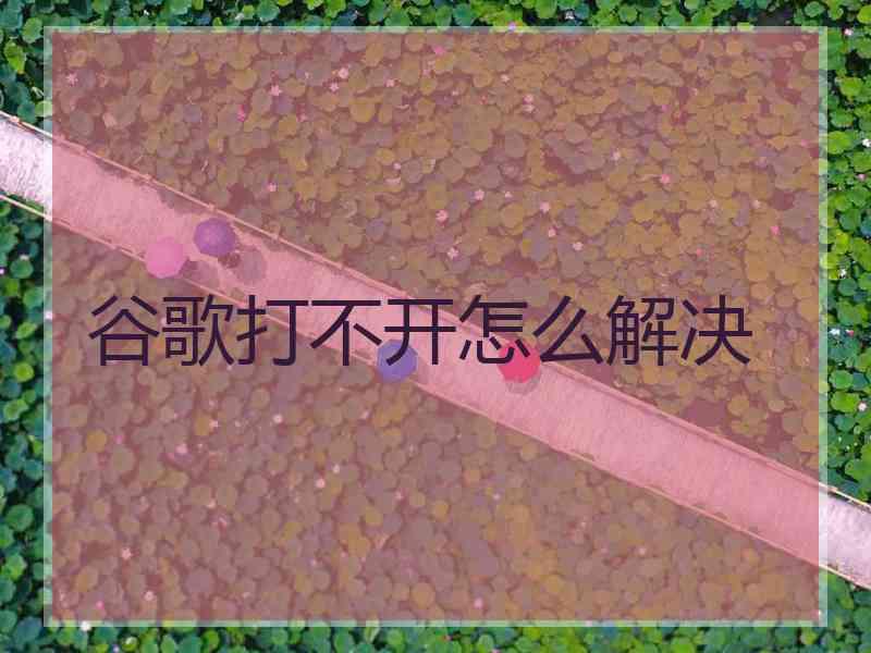 谷歌打不开怎么解决