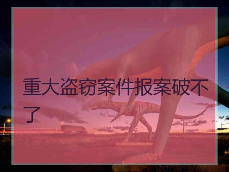 重大盗窃案件报案破不了