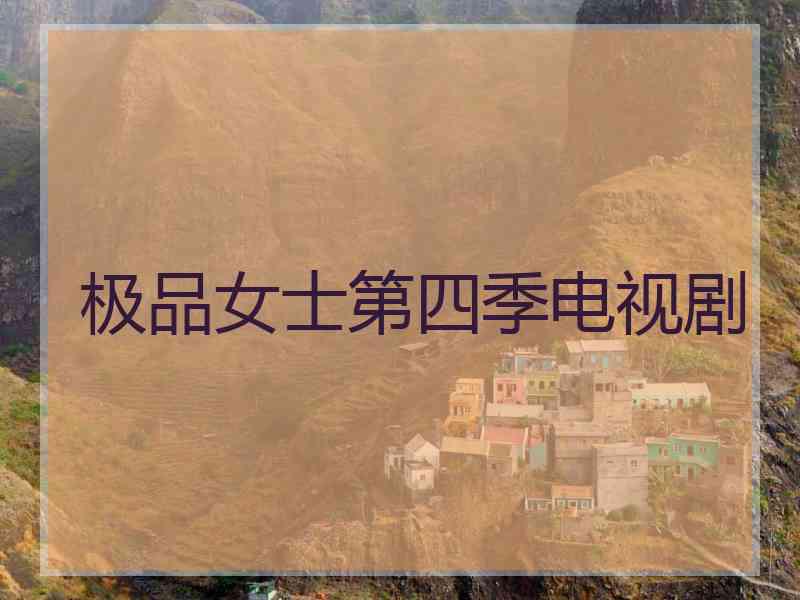 极品女士第四季电视剧