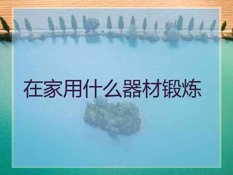 在家用什么器材锻炼