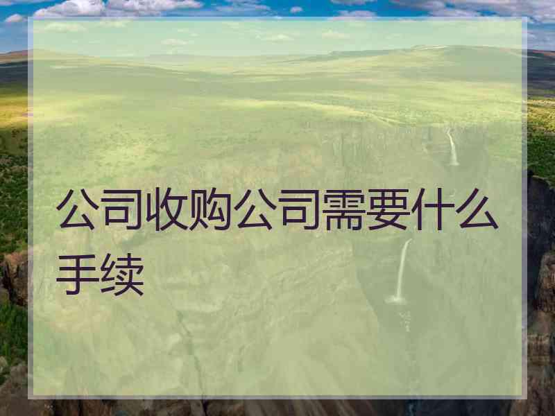 公司收购公司需要什么手续