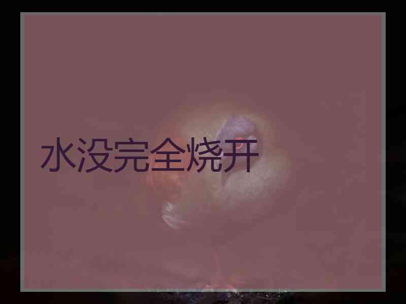 水没完全烧开