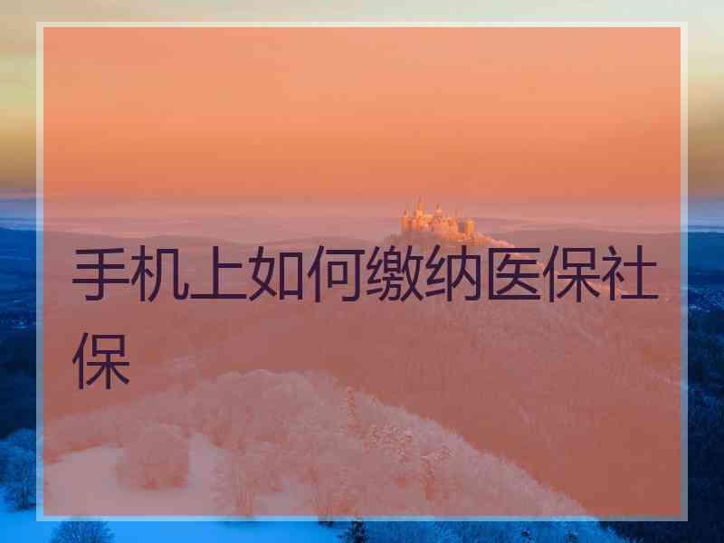 手机上如何缴纳医保社保