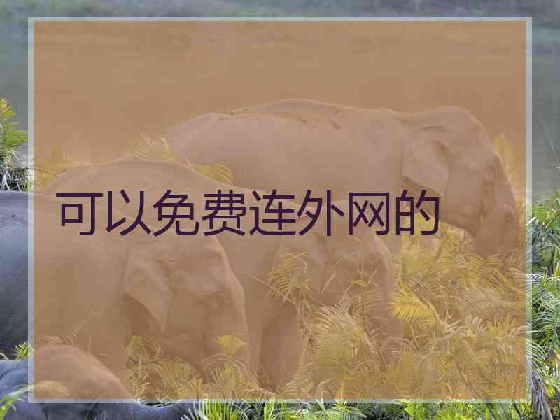 可以免费连外网的
