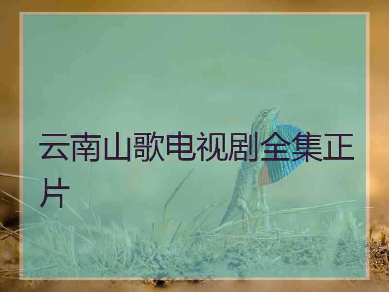 云南山歌电视剧全集正片