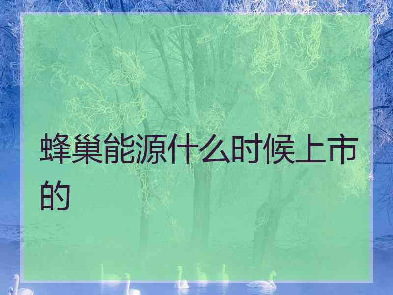 蜂巢能源什么时候上市的