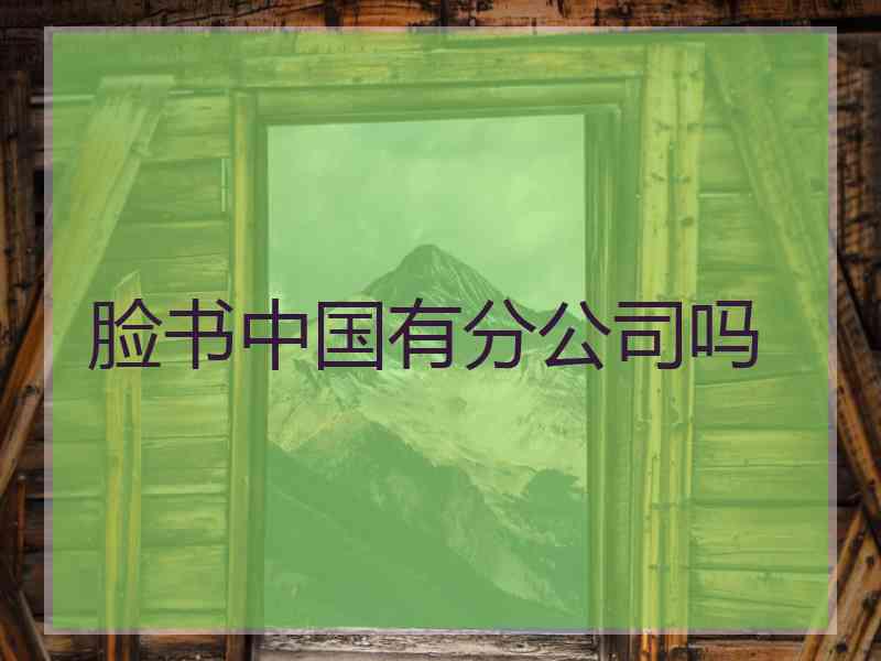 脸书中国有分公司吗