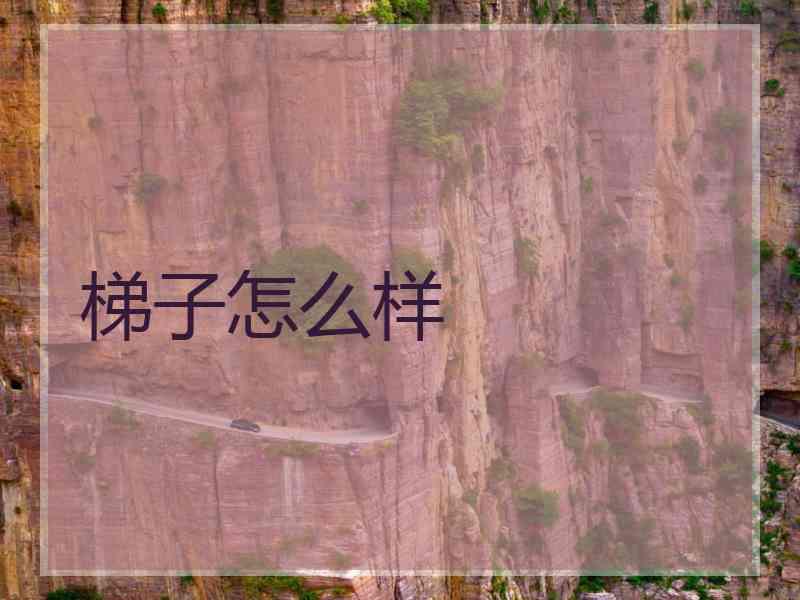 梯子怎么样