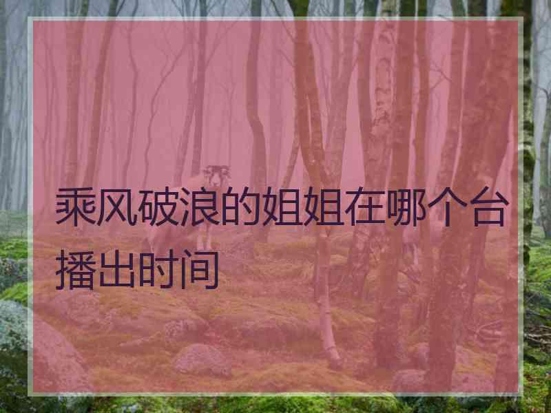 乘风破浪的姐姐在哪个台播出时间