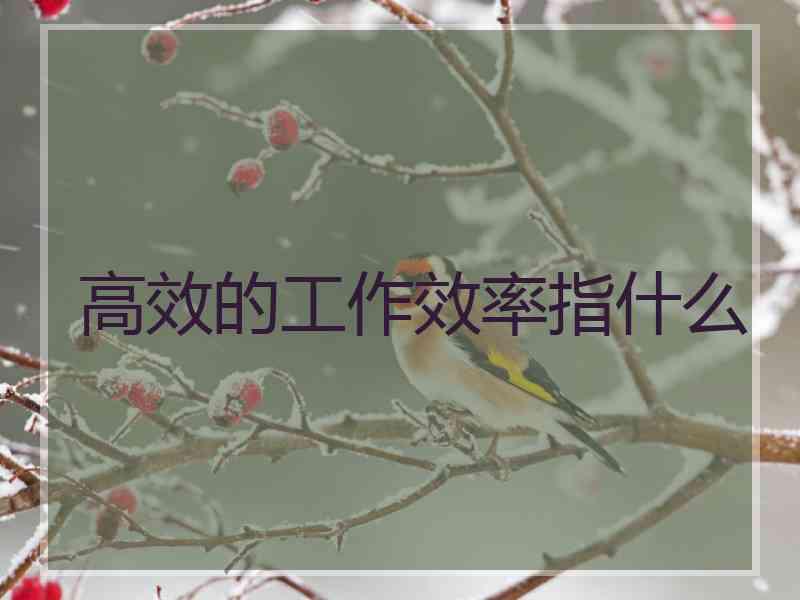 高效的工作效率指什么