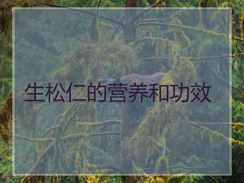 生松仁的营养和功效