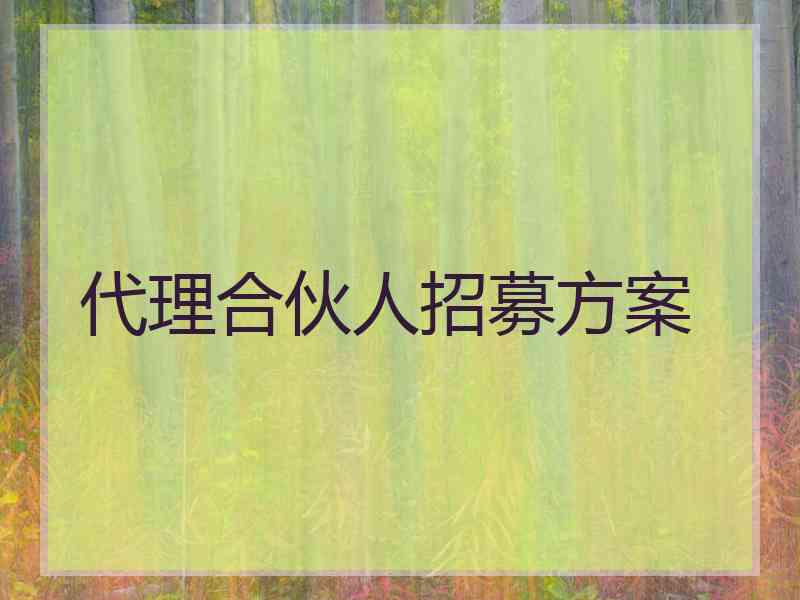 代理合伙人招募方案
