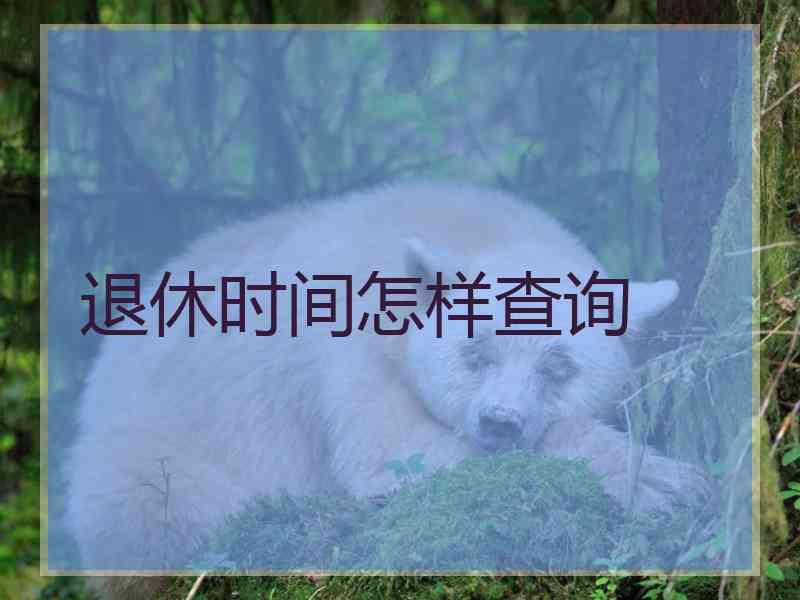 退休时间怎样查询
