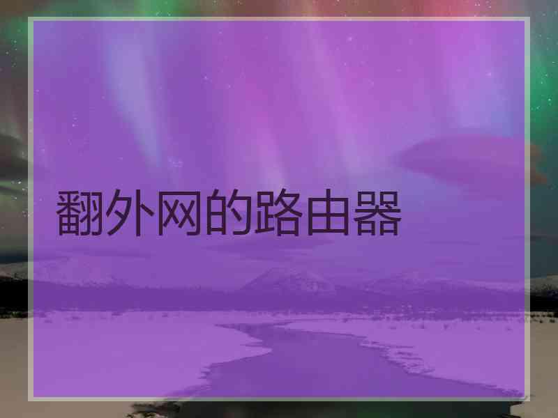 翻外网的路由器
