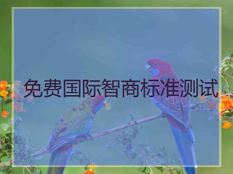 免费国际智商标准测试