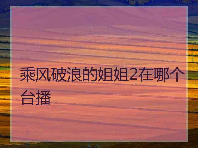 乘风破浪的姐姐2在哪个台播