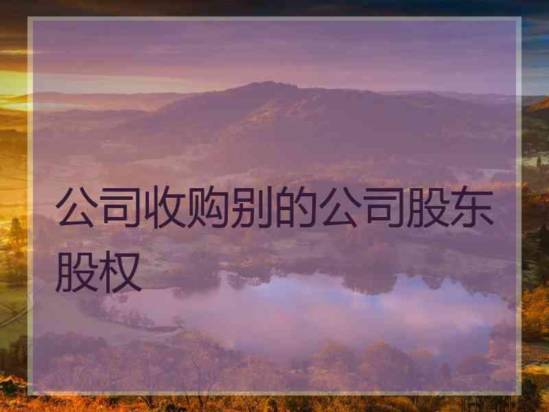 公司收购别的公司股东股权
