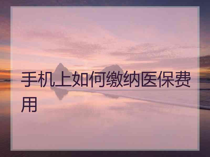 手机上如何缴纳医保费用
