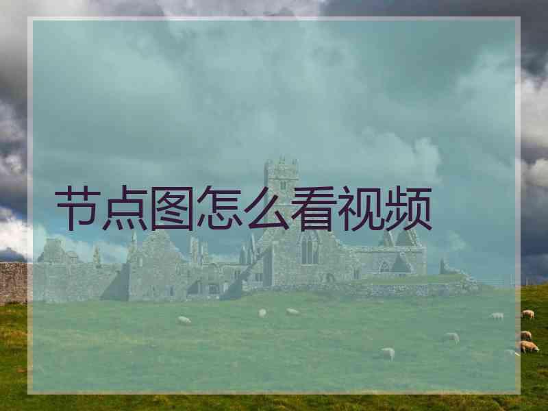 节点图怎么看视频