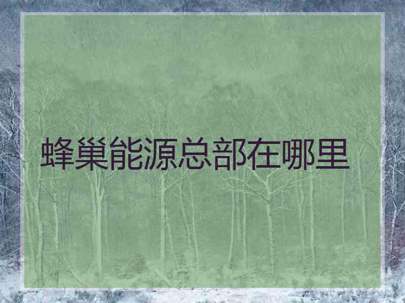 蜂巢能源总部在哪里