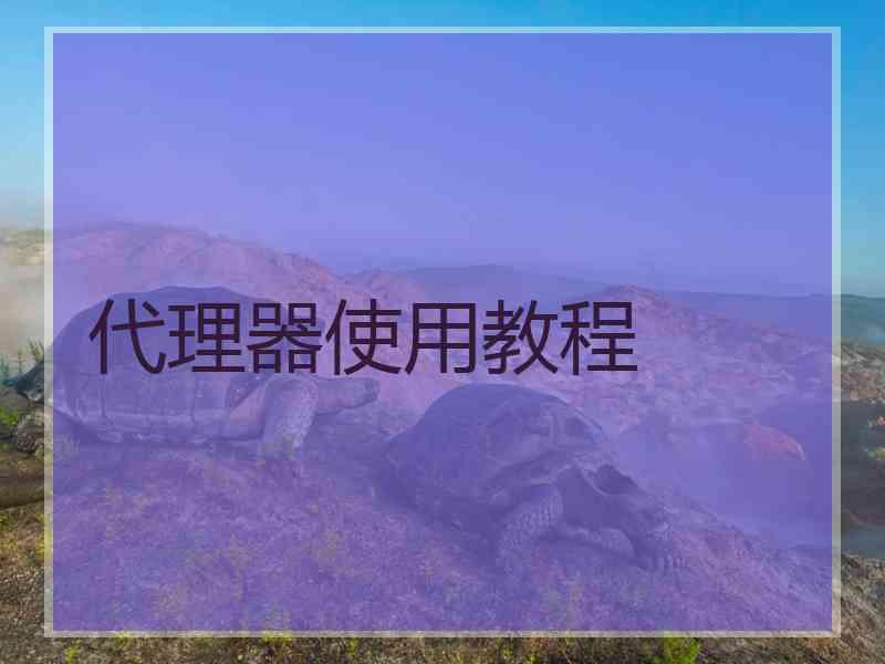 代理器使用教程