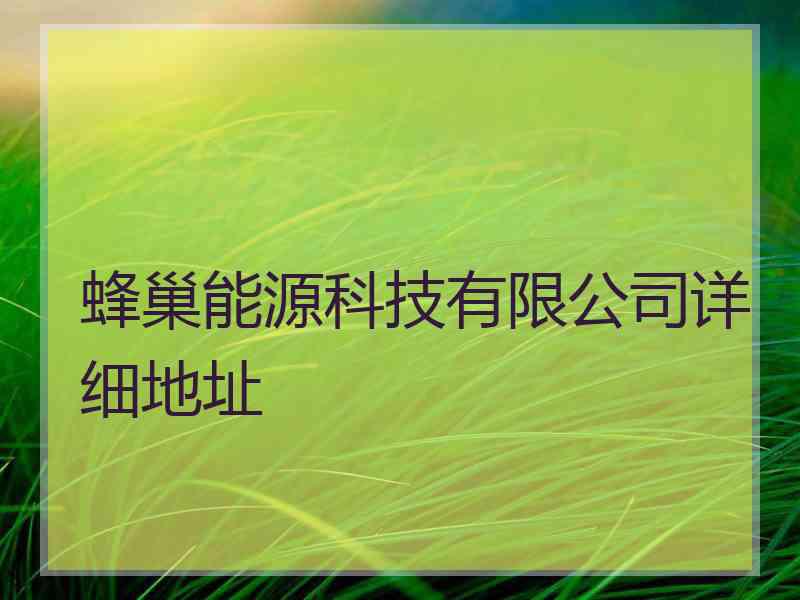 蜂巢能源科技有限公司详细地址